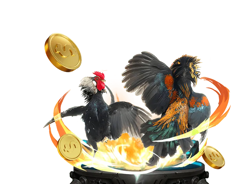 Đá Gà trực tuyến 79king